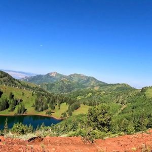 Summer MTB Goodness